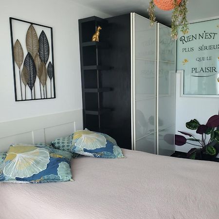 Appartement Cosy Entierement Equipe Toulouse Luaran gambar